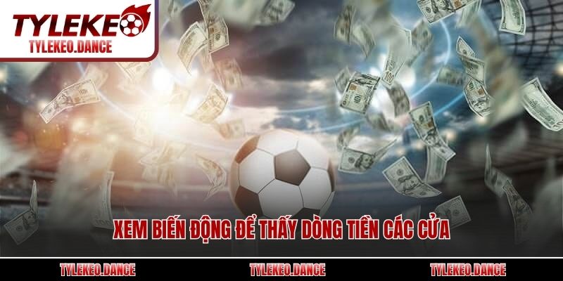 Xem biến động để thấy dòng tiền các cửa