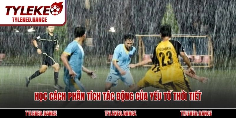 Học cách phân tích tác động của yếu tố thời tiết