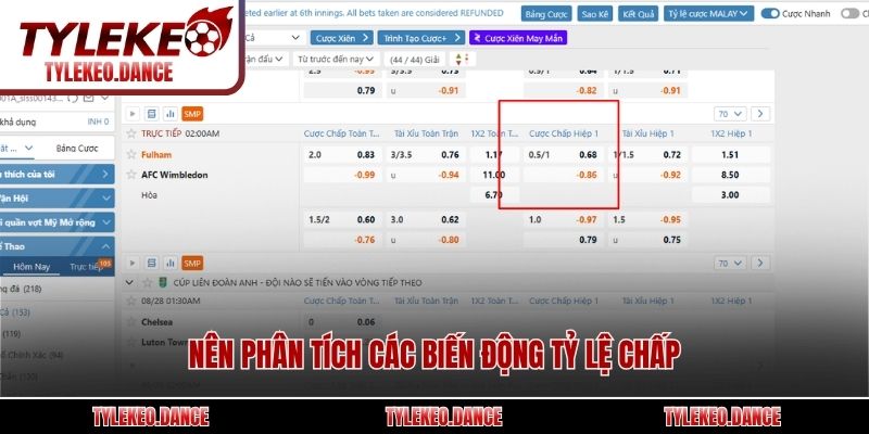 Nên phân tích các biến động tỷ lệ chấp