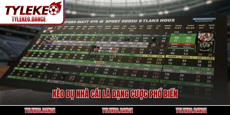 Kèo dụ nhà cái là dạng cược phổ biến